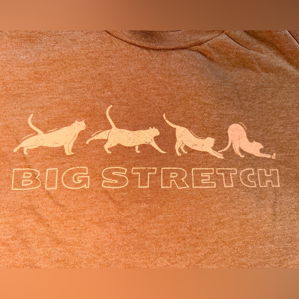 Cat shirt